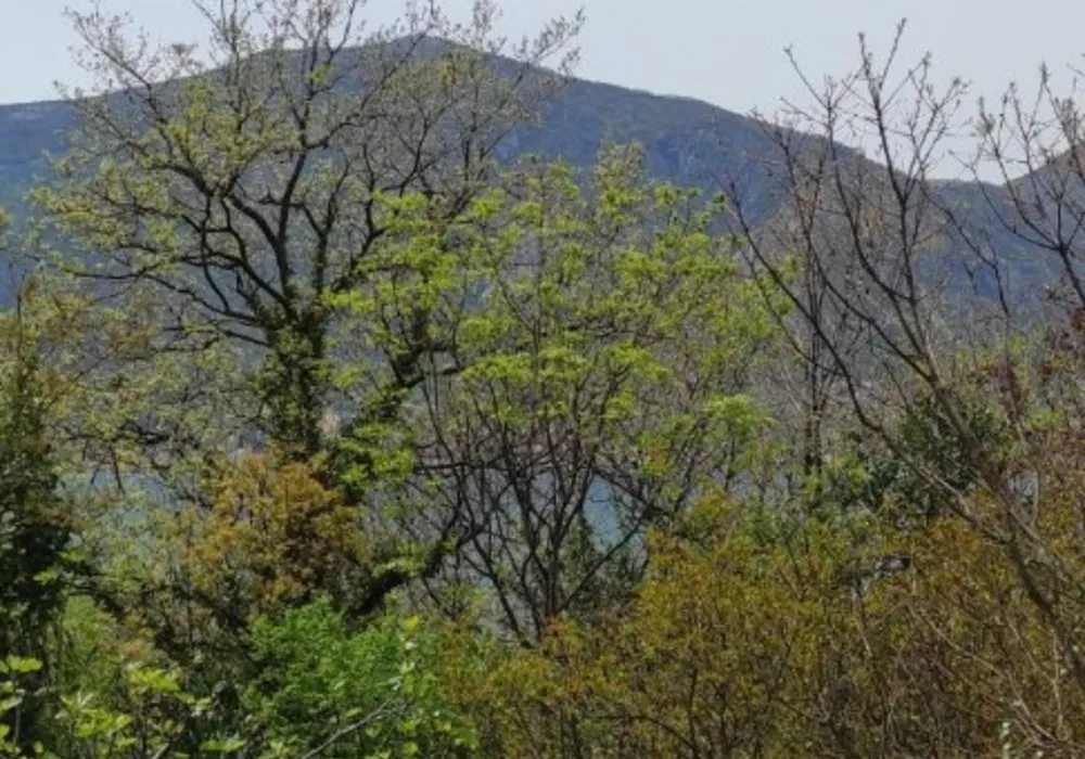 Zemljište na prodaju za stambenu izgradnju. Kotor. 