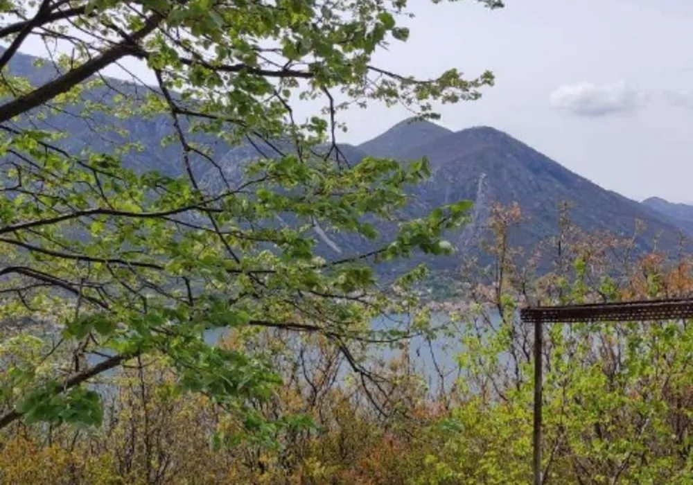 Zemljište na prodaju za stambenu izgradnju. Kotor. 