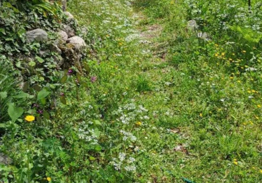 Zemljište na prodaju za stambenu izgradnju. Kotor. 