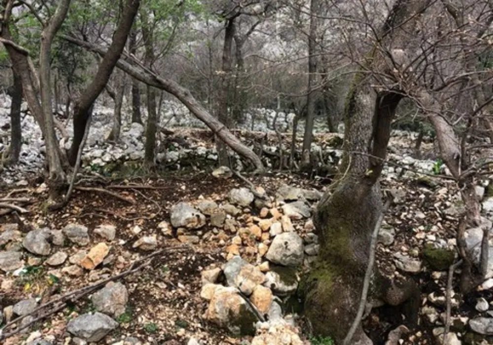 Zemljište na prodaju za stambenu izgradnju. Kotor. 