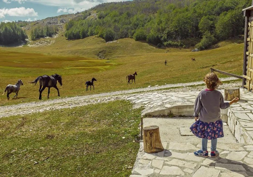 Kuća na prodaju 5 соба, 210 m². Žabljak. 