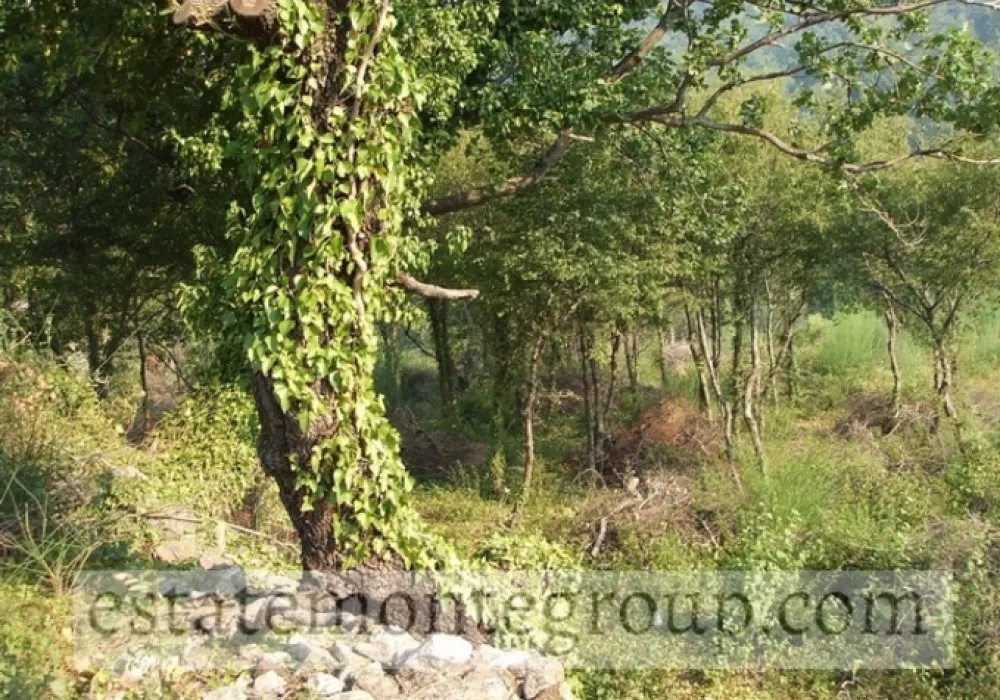 Land for sale for residential construction. Budva. 