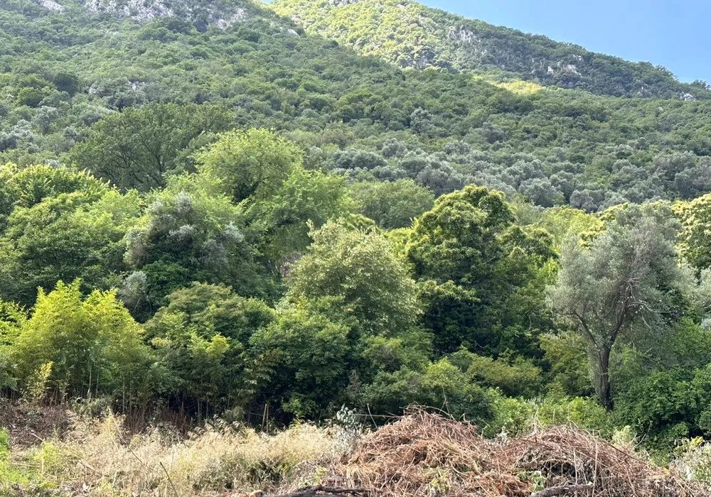 Stan na prodaju 80 m². Kotor. 