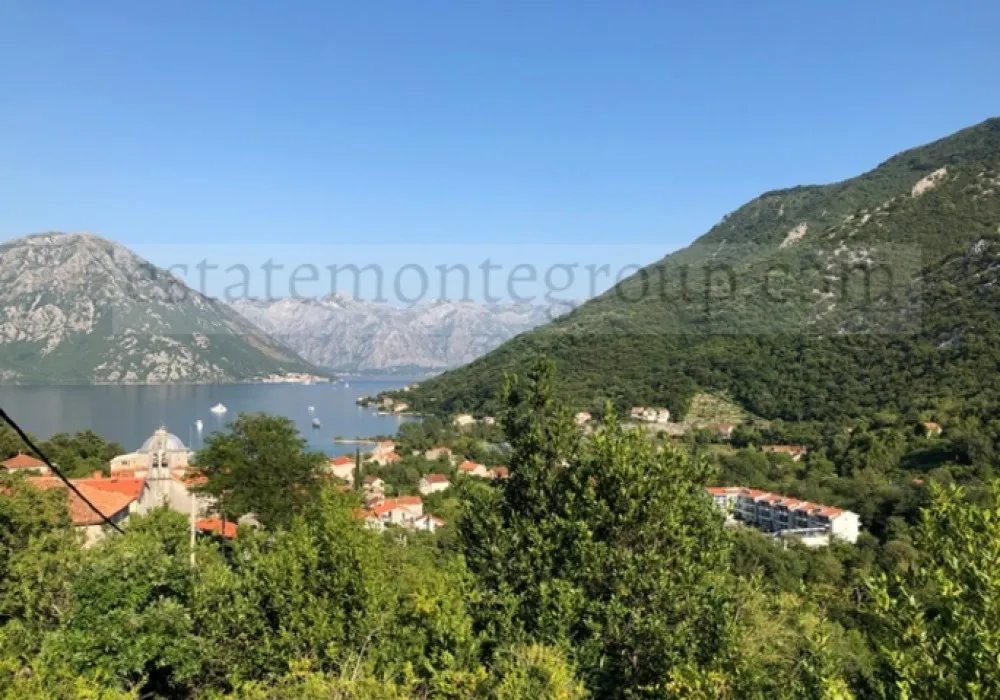 Kotor