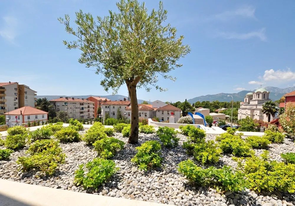 Apartments for sale. Tivat. 