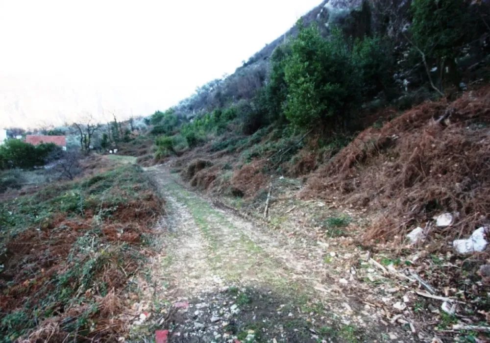 Land for sale for residential construction. Kotor. 