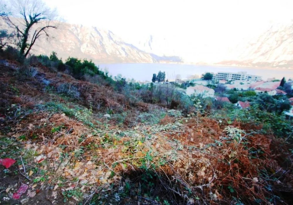 Land for sale for residential construction. Kotor. 