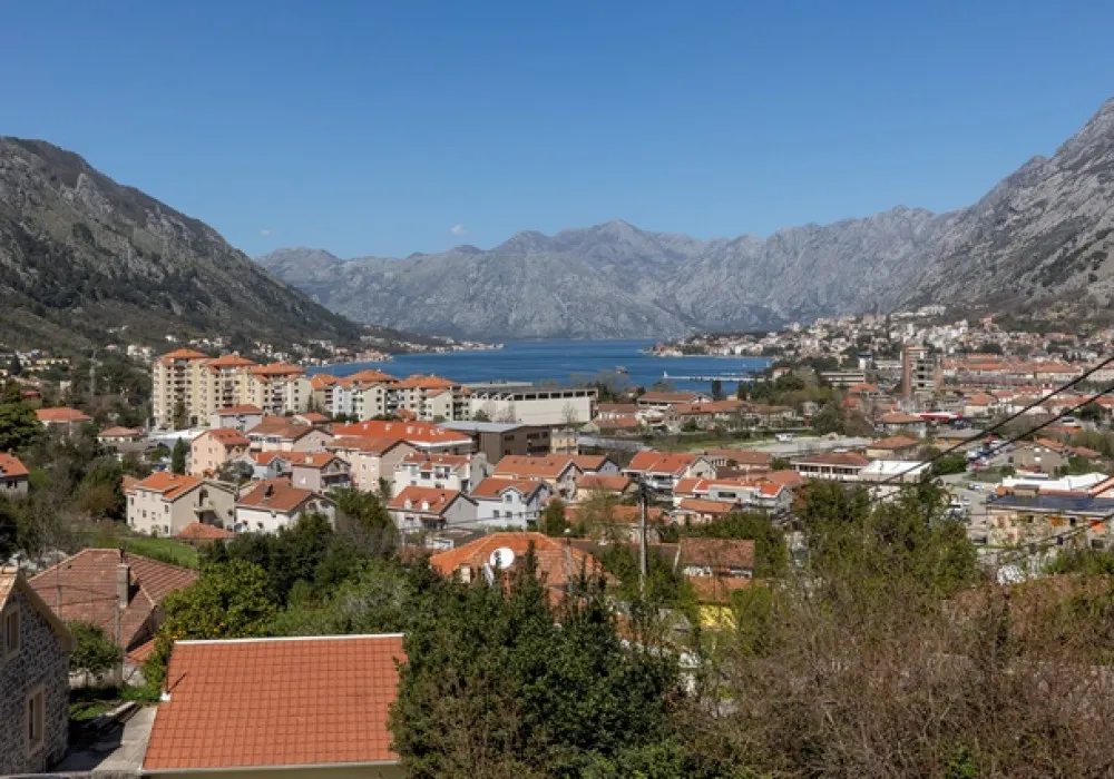 Kotor