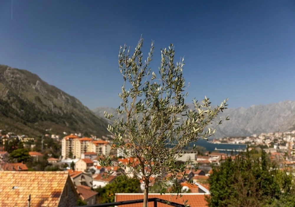 Kuća na prodaju 2 собе, 183 m². Kotor. 