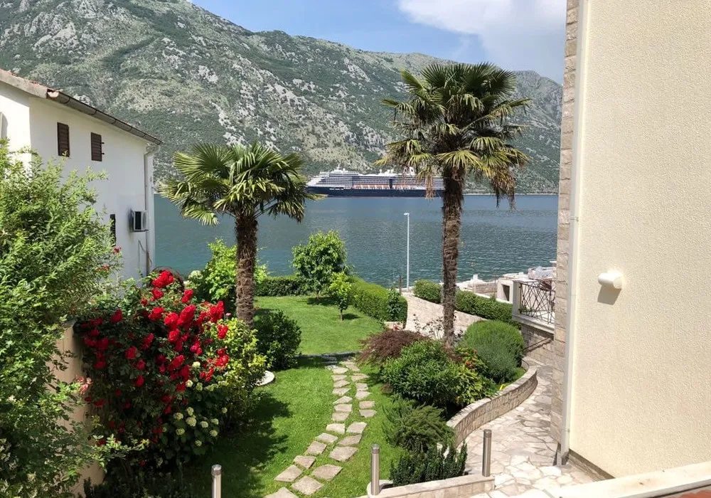 Kotor