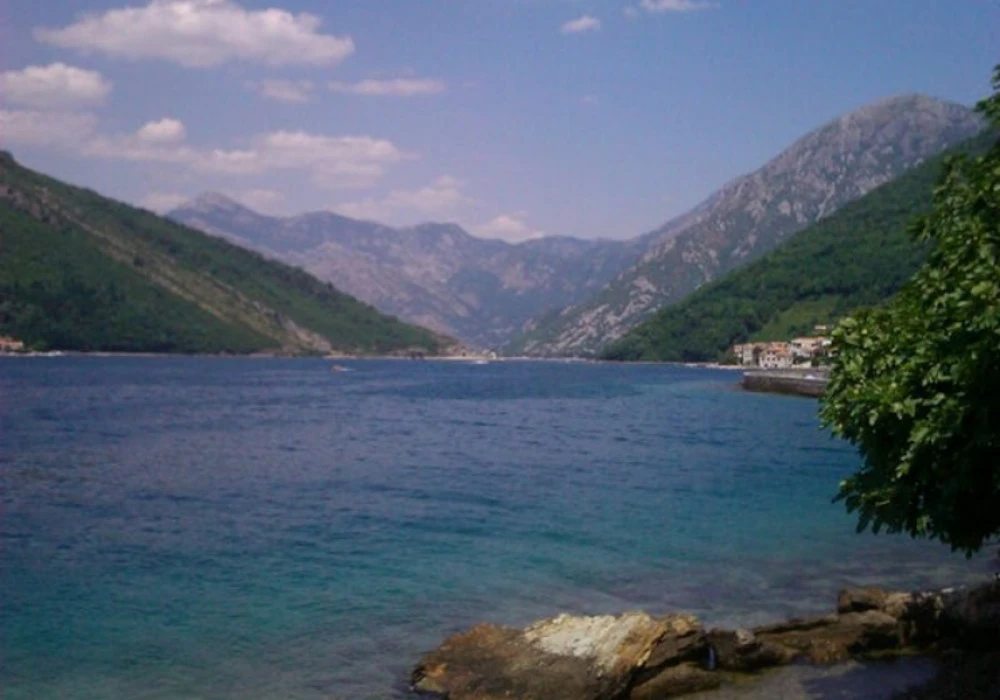 Kotor