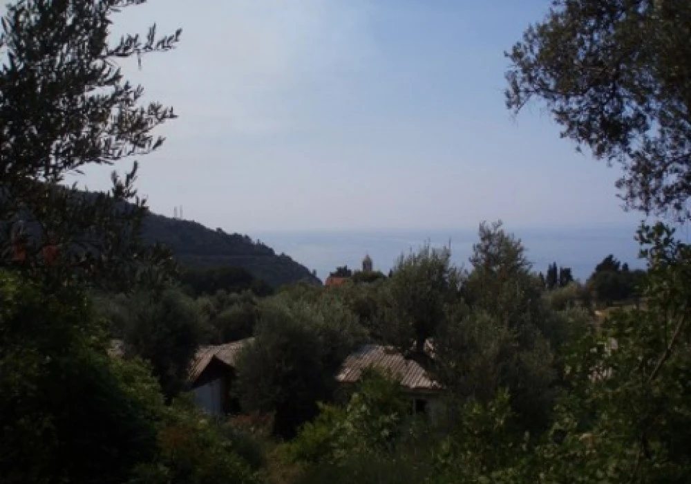 Land for sale for residential construction 2910 m². Rezevici. 