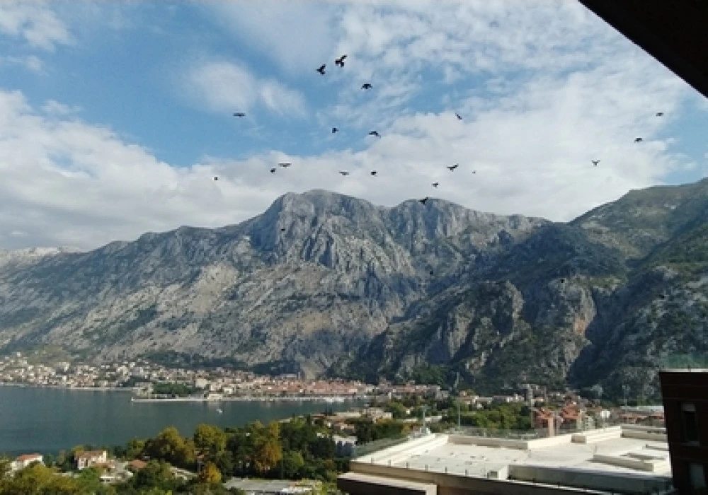 Stan na prodaju 2 собе, 144 m². Kotor. 