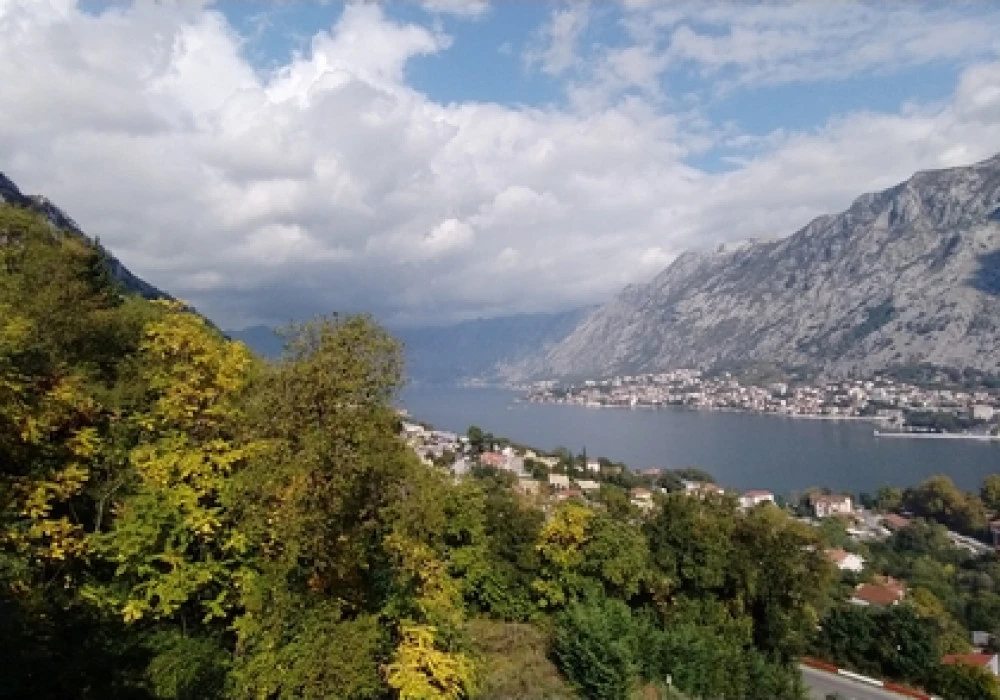 Apartments for sale 2 rooms, 144 m². Kotor. 