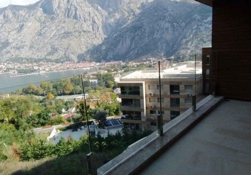 Kotor