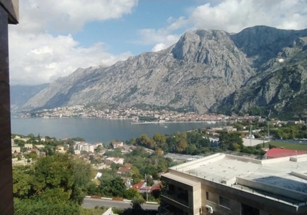 Apartments for sale 2 rooms, 431 m². Kotor. 