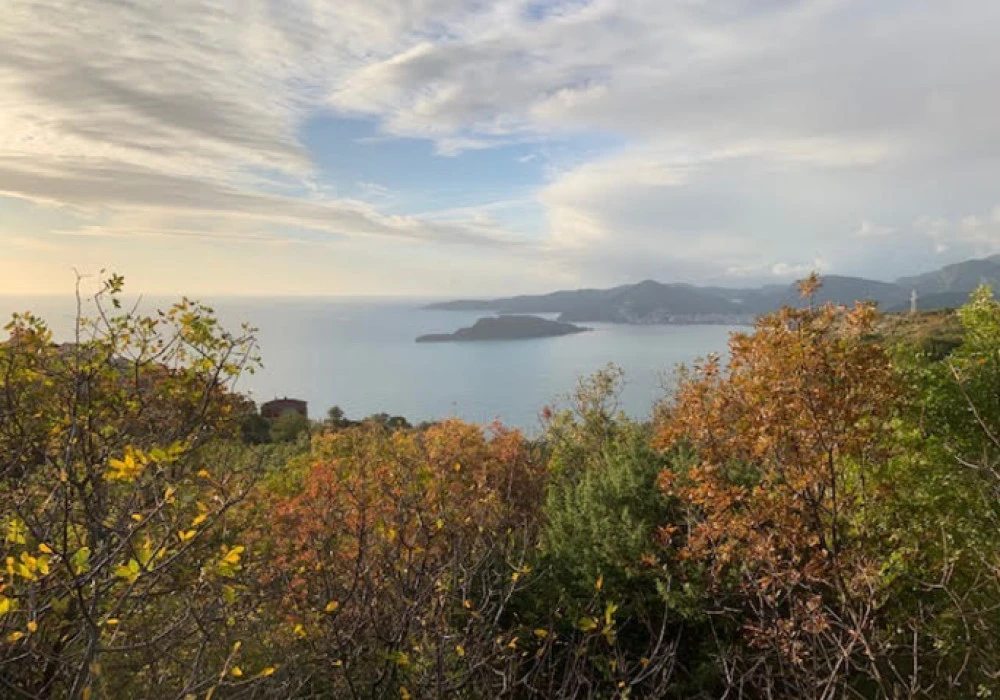 Land for sale for residential construction. Budva. 