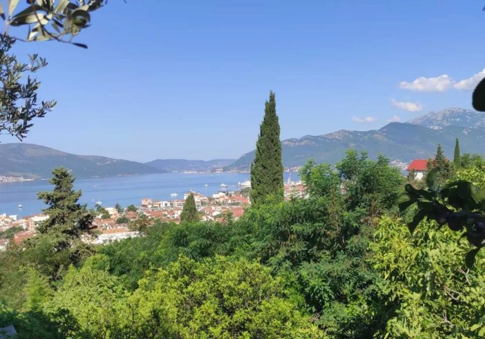 Land for sale for residential construction. Tivat. 