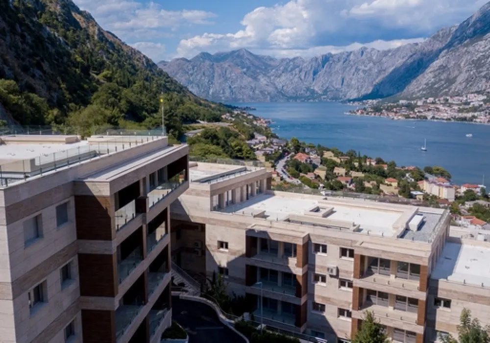 Kotor