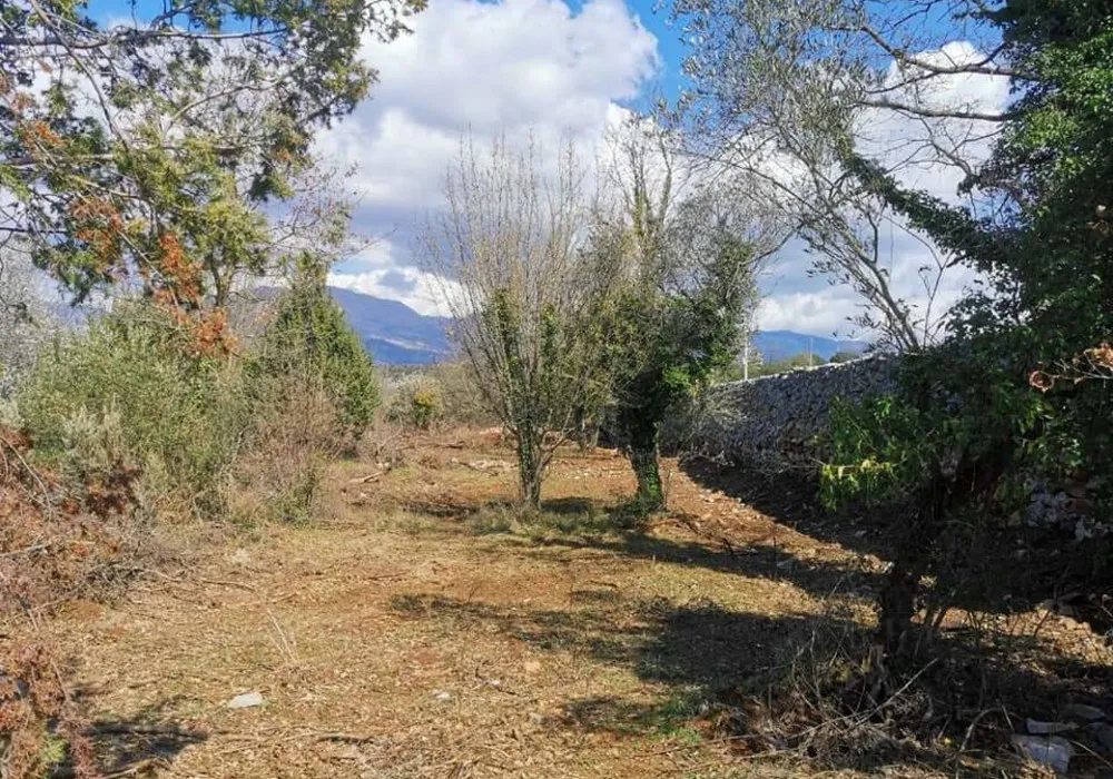 Land for sale for residential construction. Kotor. 