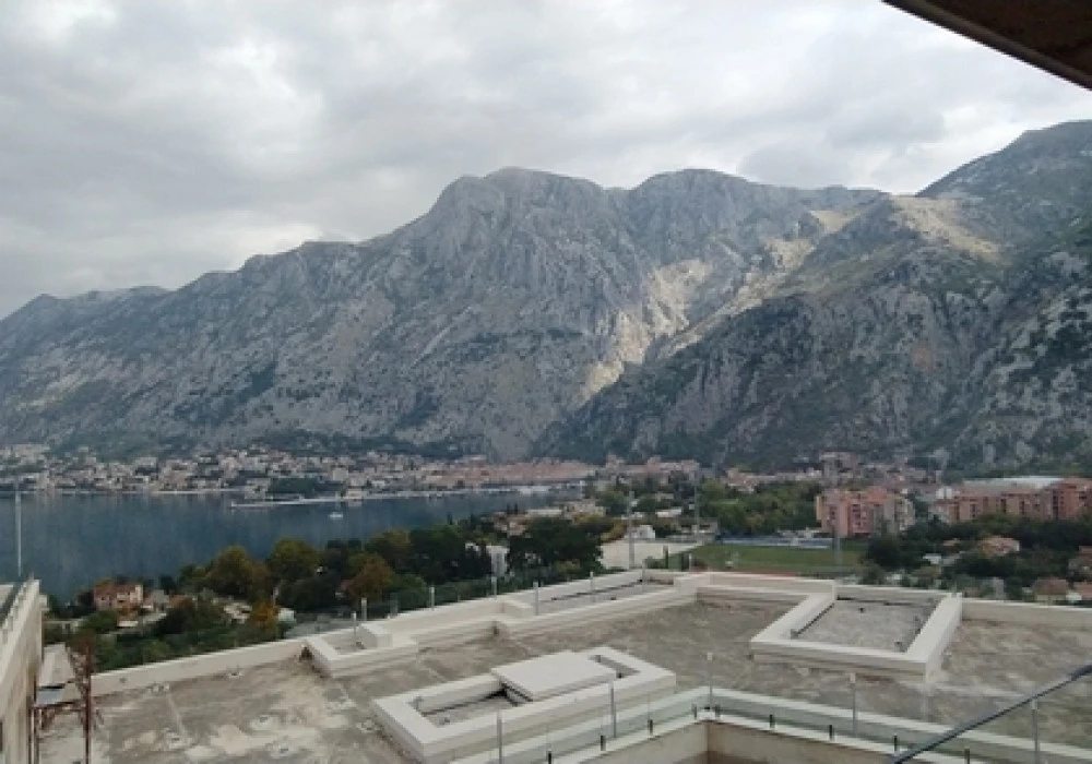 Kotor