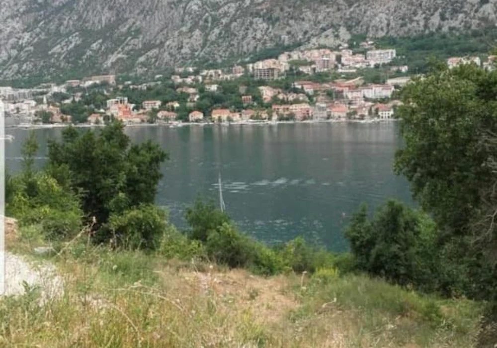 Land for sale for residential construction. Kotor. 