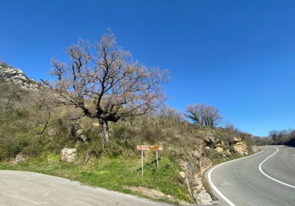 Land for sale for residential construction 5914 m². Budva. 