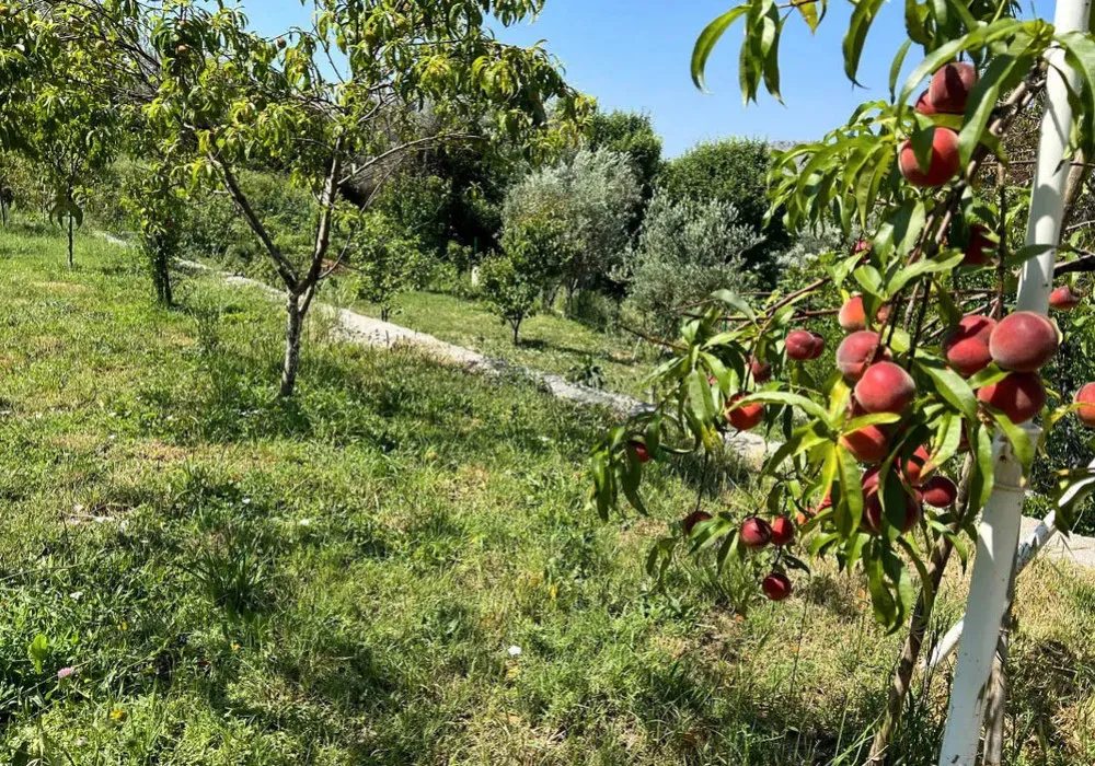 Kuća na prodaju 3 собе, 208 m². Bar. 